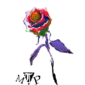 R.o.s.e.s avatar